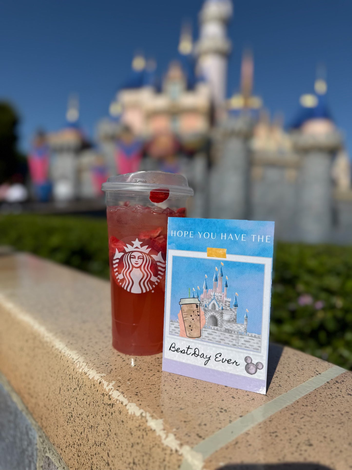 The Magic of Theme Parks Bundle 10 Pack