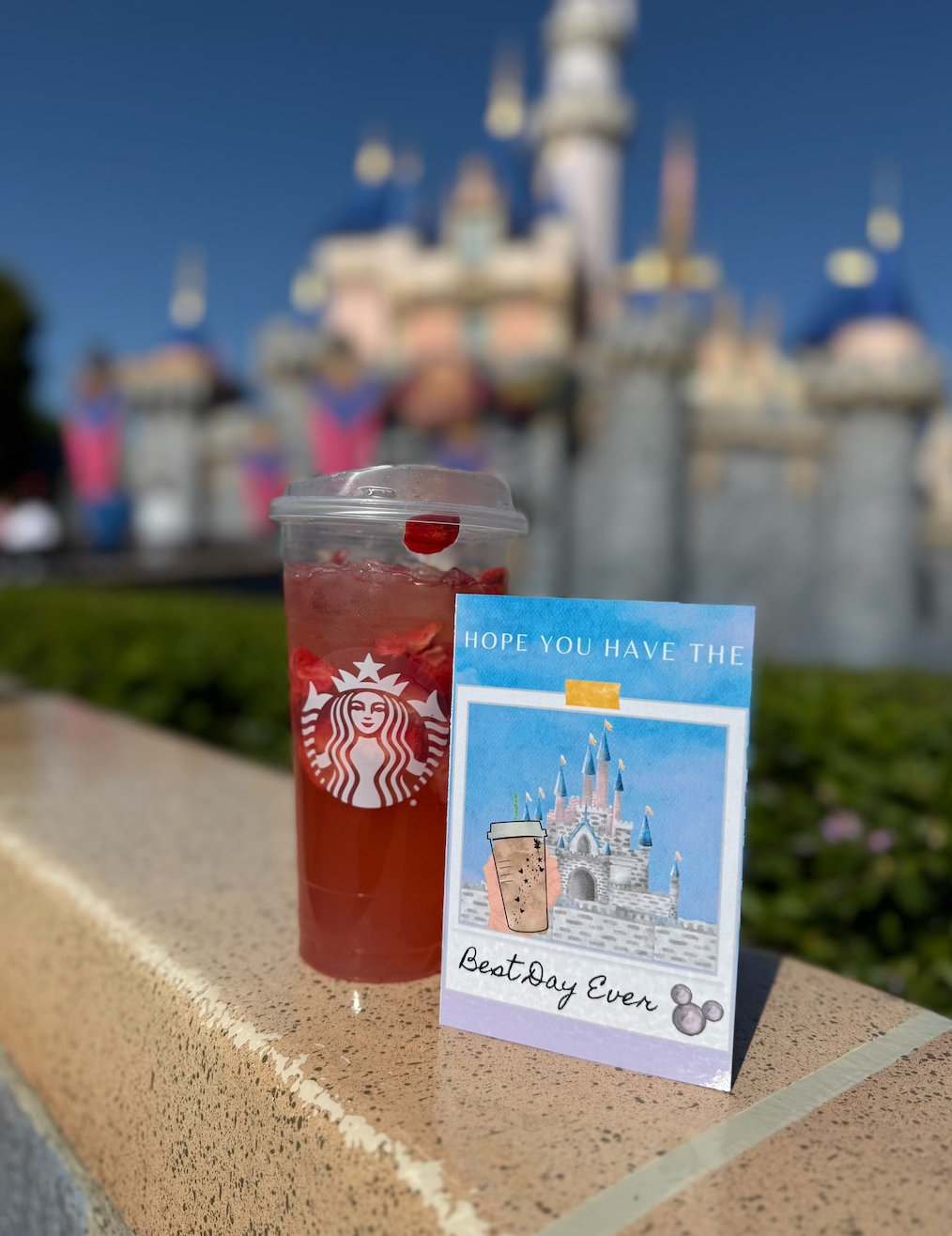The Magic of Theme Parks Bundle 10 Pack