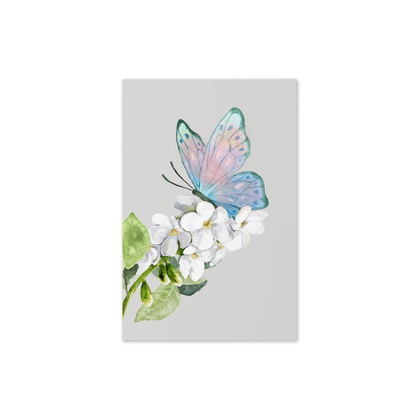 Butterfly and flowers on a light gray background